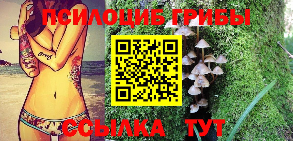 Выборг  купить   Вход с VPN  Галлюциногенные грибы Psilocybine cubensis 